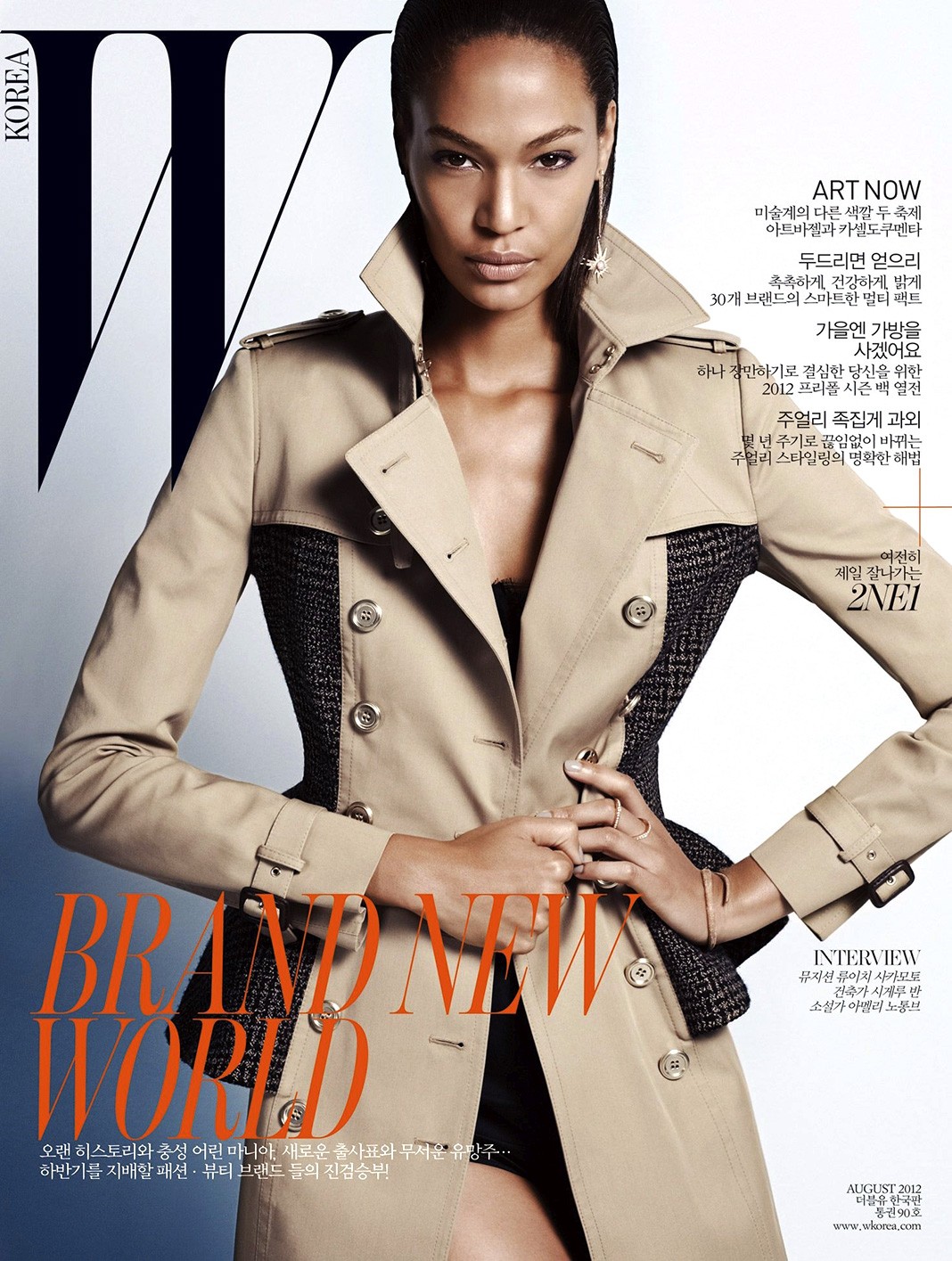 На обложке журнала W Korea, август 2012 г.
