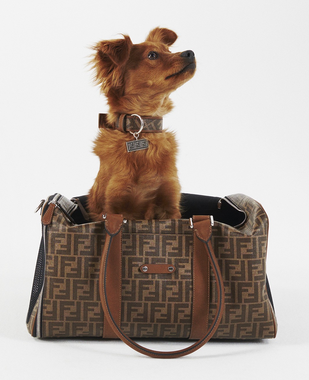 Fendi Pet Travel Line Carrier Bag
