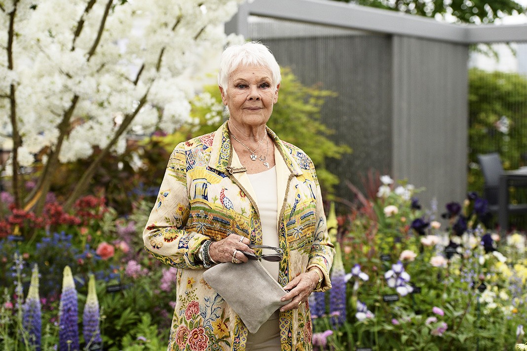 На выставке цветов RHS Chelsea Flower Show