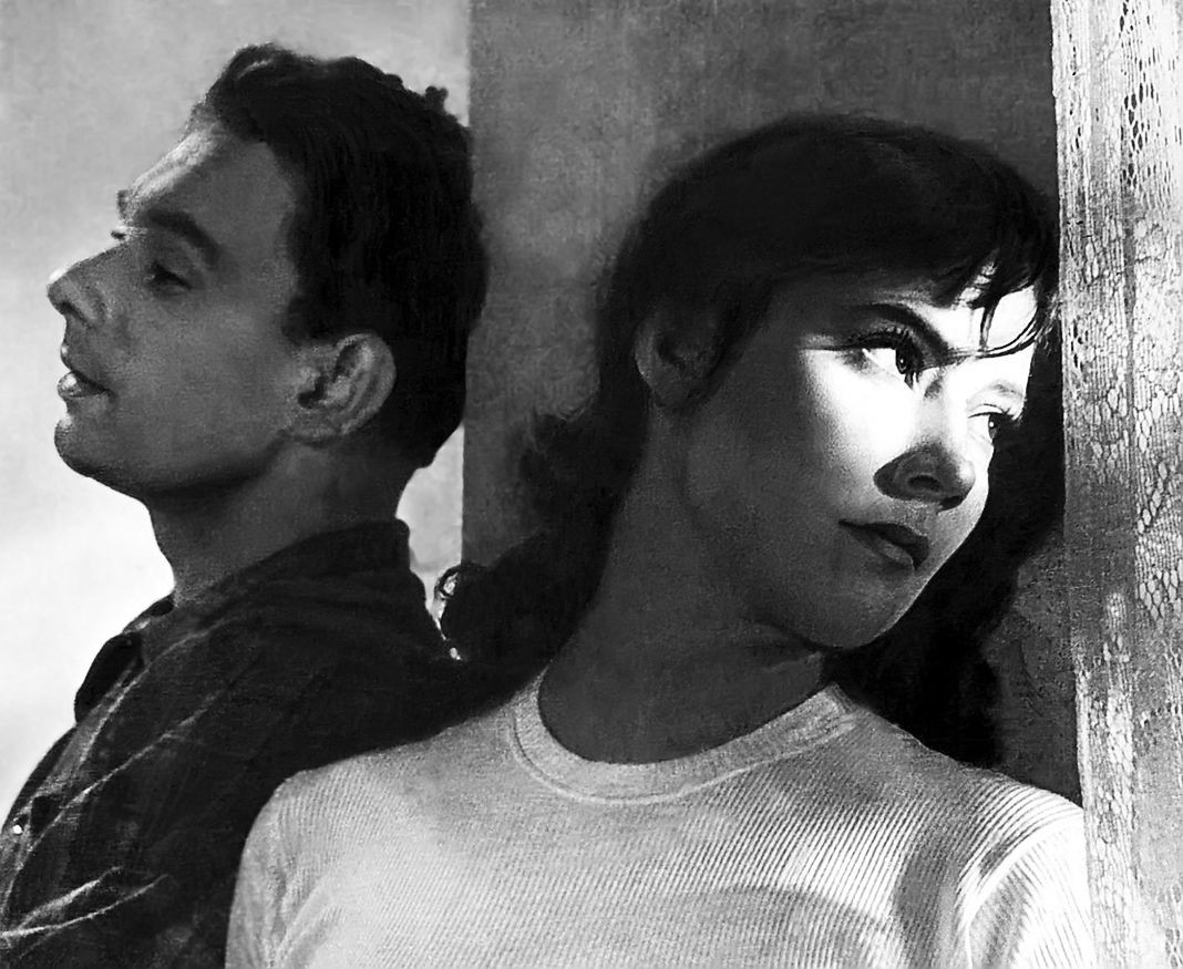 Фильм «Летят журавли», 1957 «Летят журавли», 1957