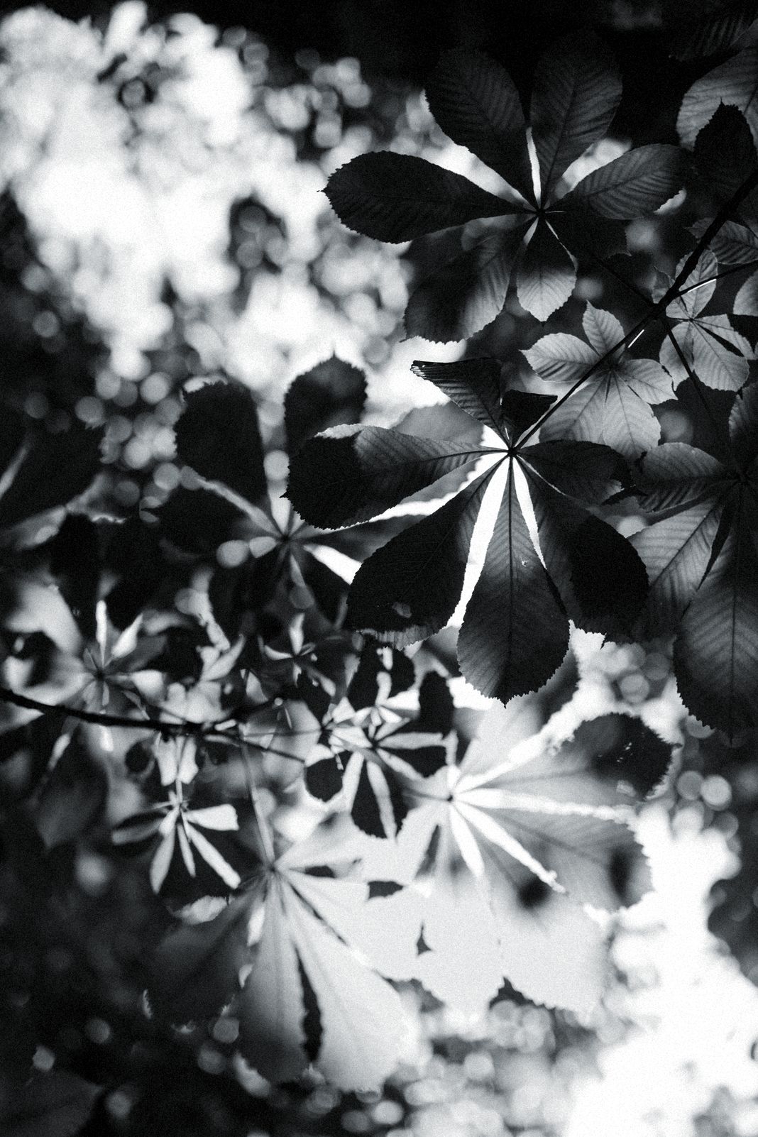 Фотографии: cottonbro, фото 6