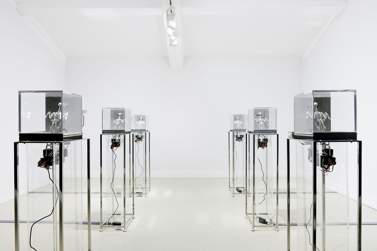 Мэт Коллишоу. The Machine Zone, 2019 г. Сталь, алюминий, серводвигатели, акрил, зона 3