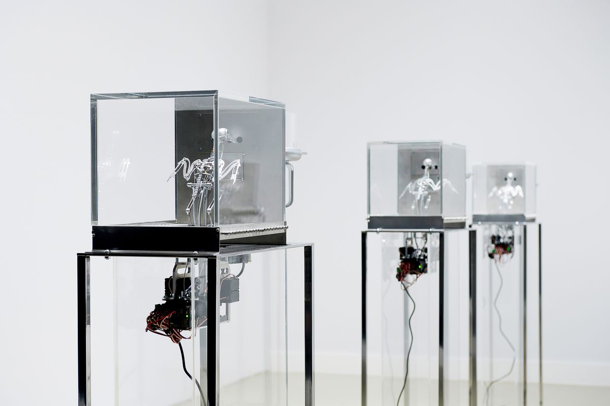 Мэт Коллишоу. The Machine Zone, 2019 г. Сталь, алюминий, серводвигатели, акрил, зона 4