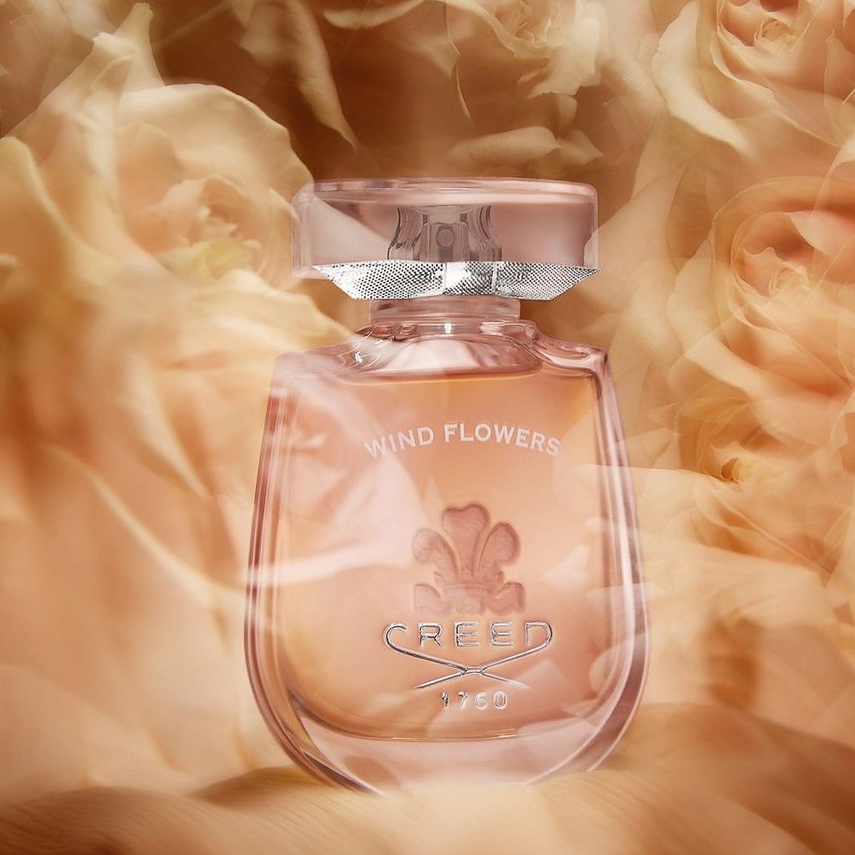 Creed, Wind Flowers