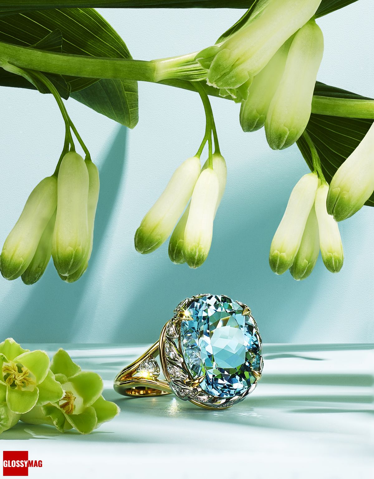Фантастический мир Жана Шлюмберже в коллекции Tiffany & Co. Botanica: Blue Book 2022, фото 1