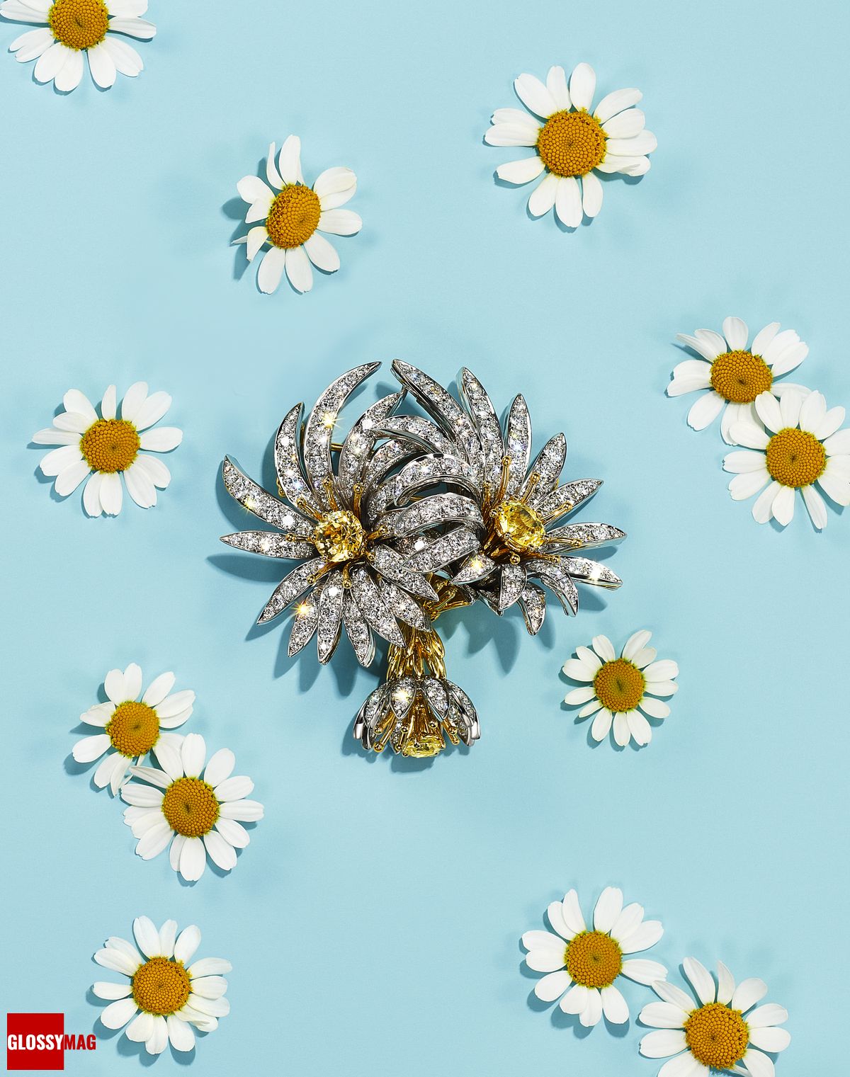 Фантастический мир Жана Шлюмберже в коллекции Tiffany & Co. Botanica: Blue Book 2022, фото 10