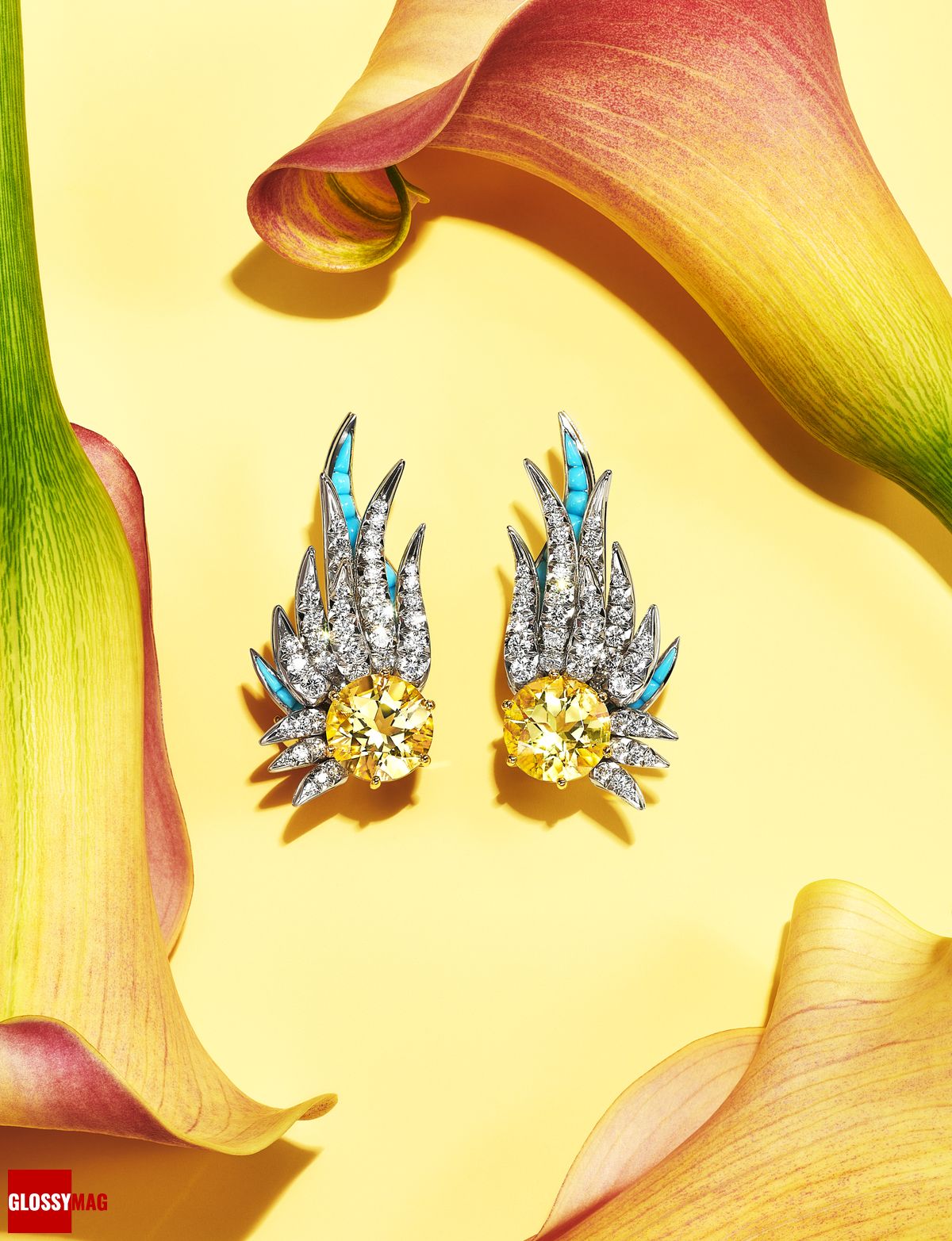 Фантастический мир Жана Шлюмберже в коллекции Tiffany & Co. Botanica: Blue Book 2022, фото 12