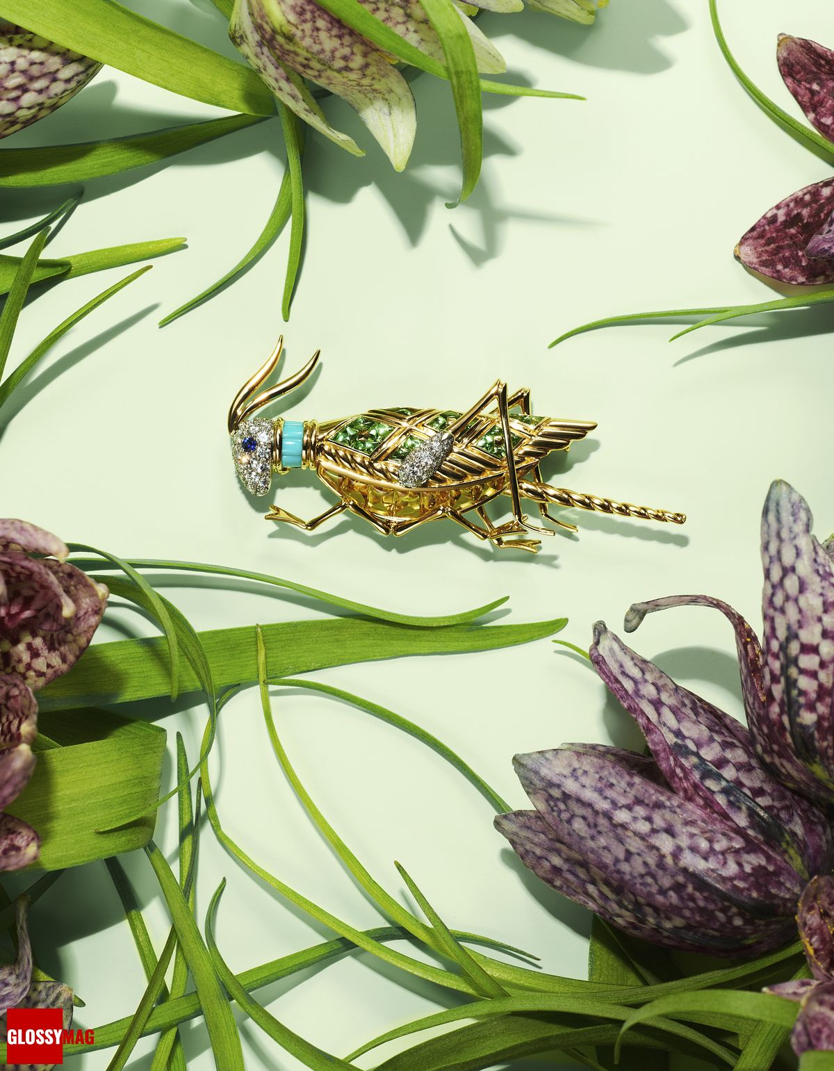 Фантастический мир Жана Шлюмберже в коллекции Tiffany & Co. Botanica: Blue Book 2022, фото 13