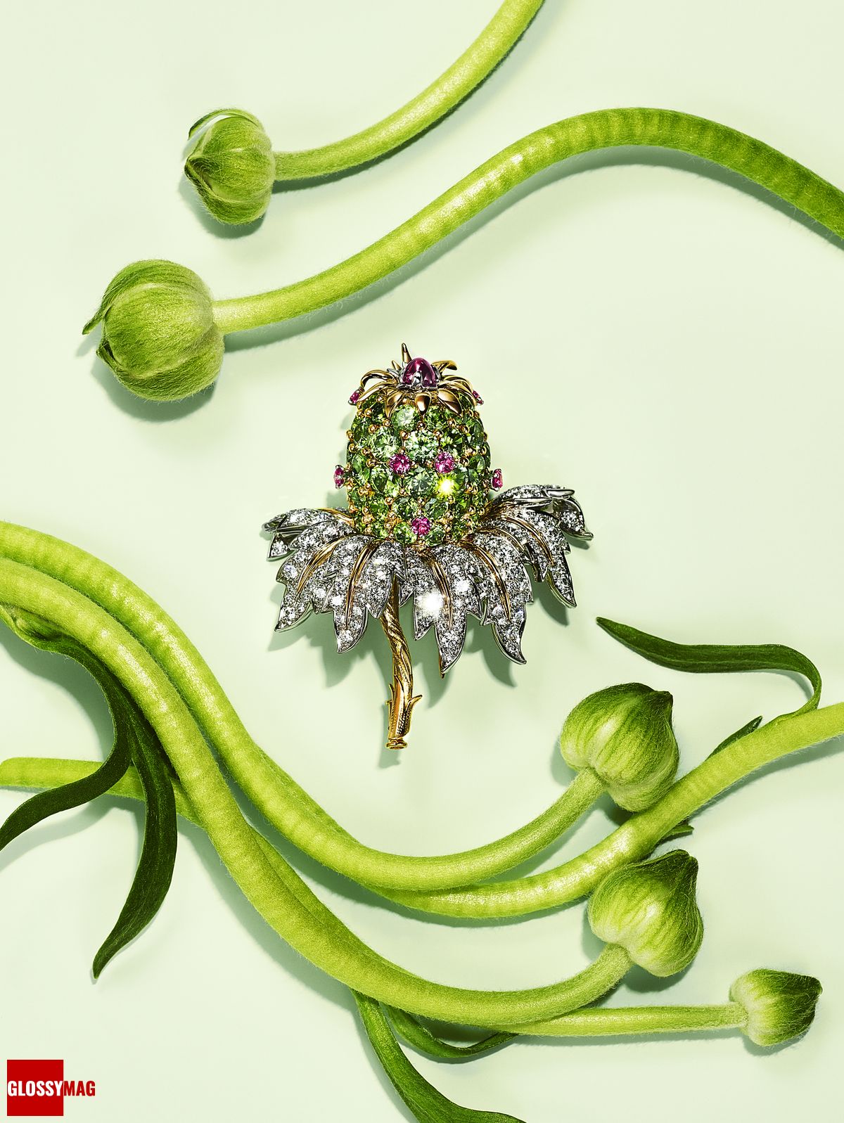 Фантастический мир Жана Шлюмберже в коллекции Tiffany & Co. Botanica: Blue Book 2022, фото 14