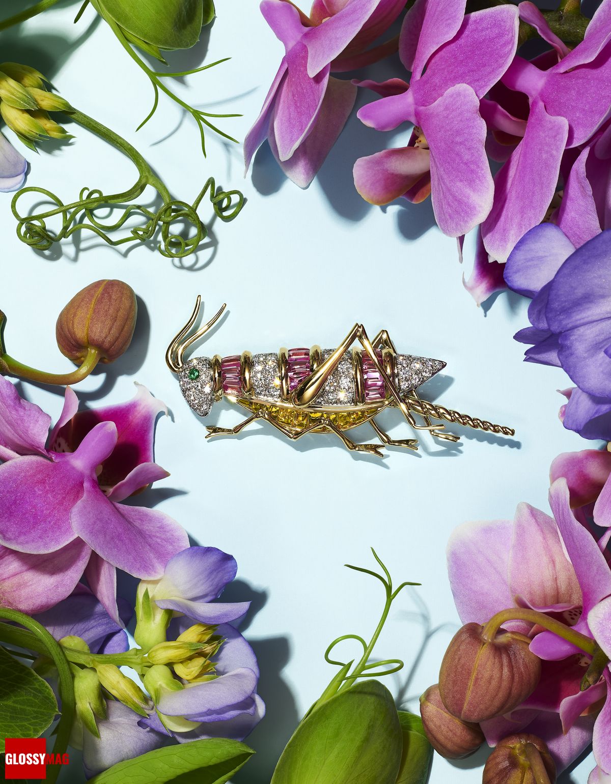 Фантастический мир Жана Шлюмберже в коллекции Tiffany & Co. Botanica: Blue Book 2022, фото 15