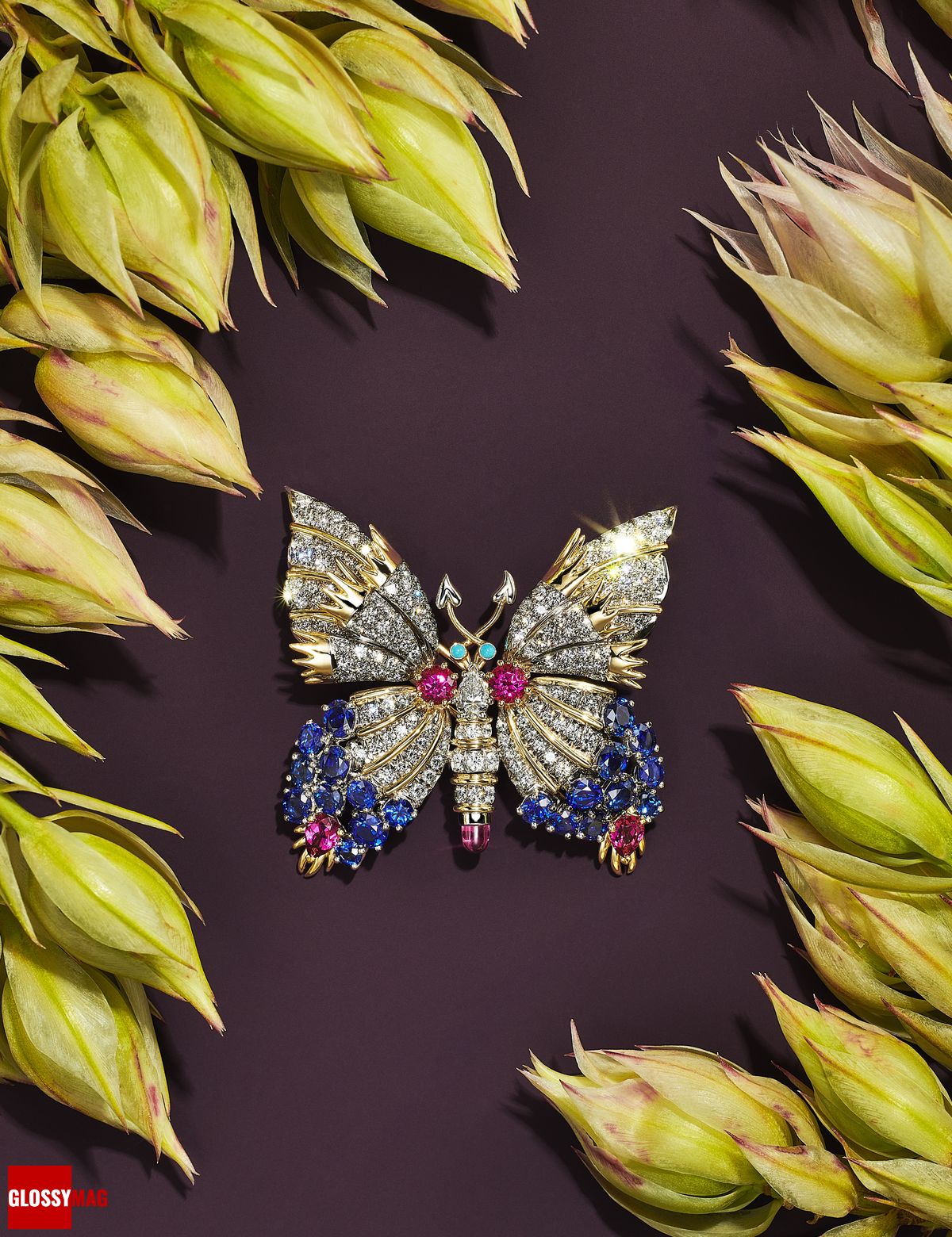 Фантастический мир Жана Шлюмберже в коллекции Tiffany & Co. Botanica: Blue Book 2022, фото 16