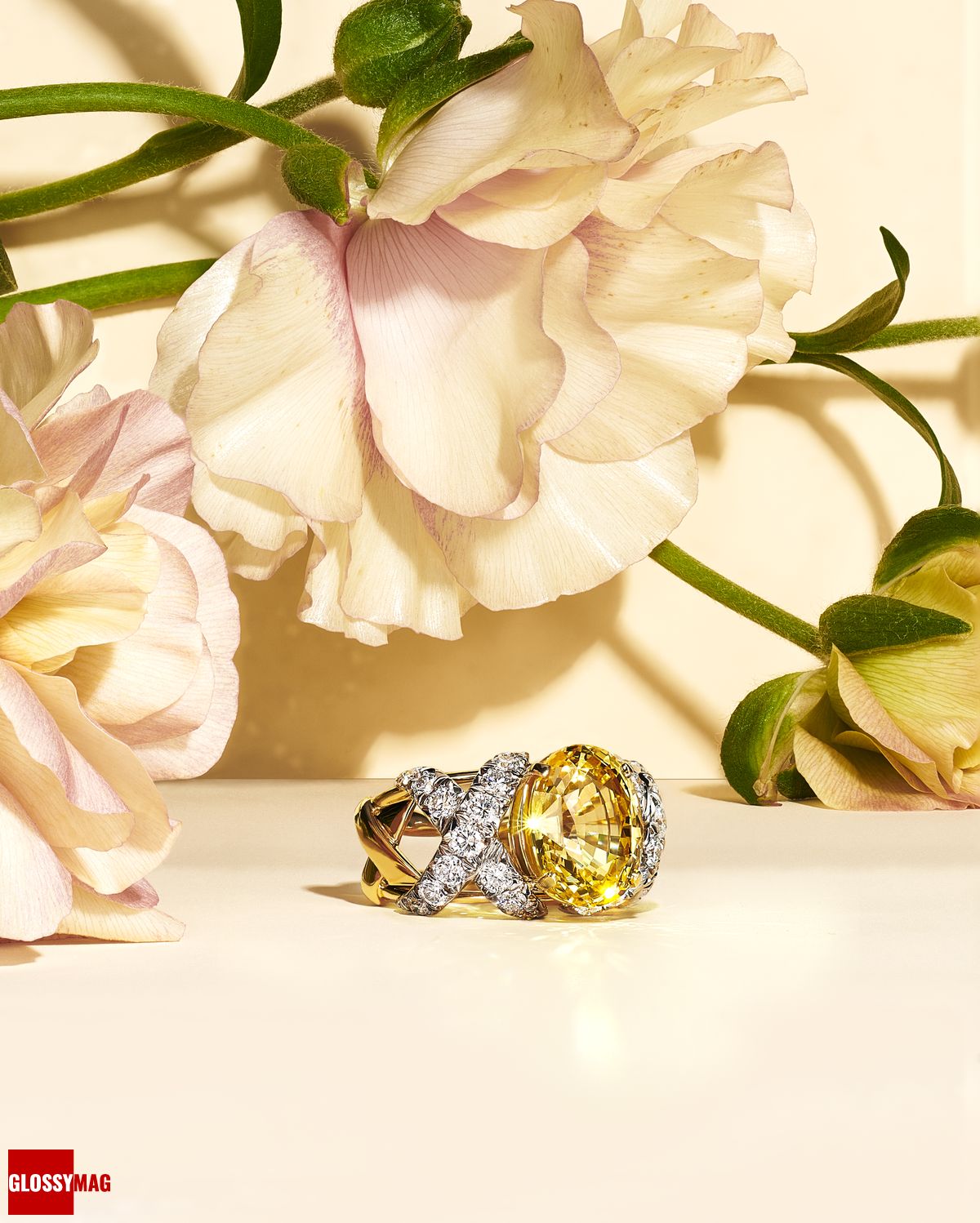 Фантастический мир Жана Шлюмберже в коллекции Tiffany & Co. Botanica: Blue Book 2022, фото 2