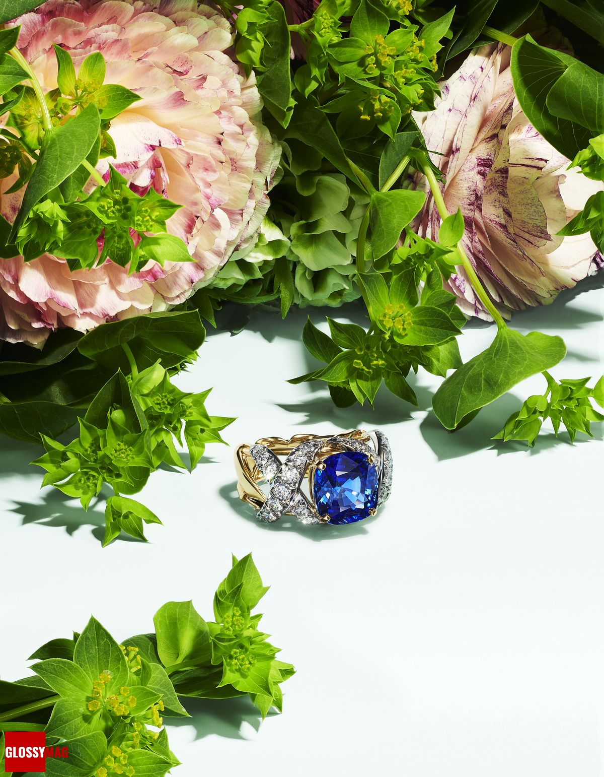 Фантастический мир Жана Шлюмберже в коллекции Tiffany & Co. Botanica: Blue Book 2022, фото 20