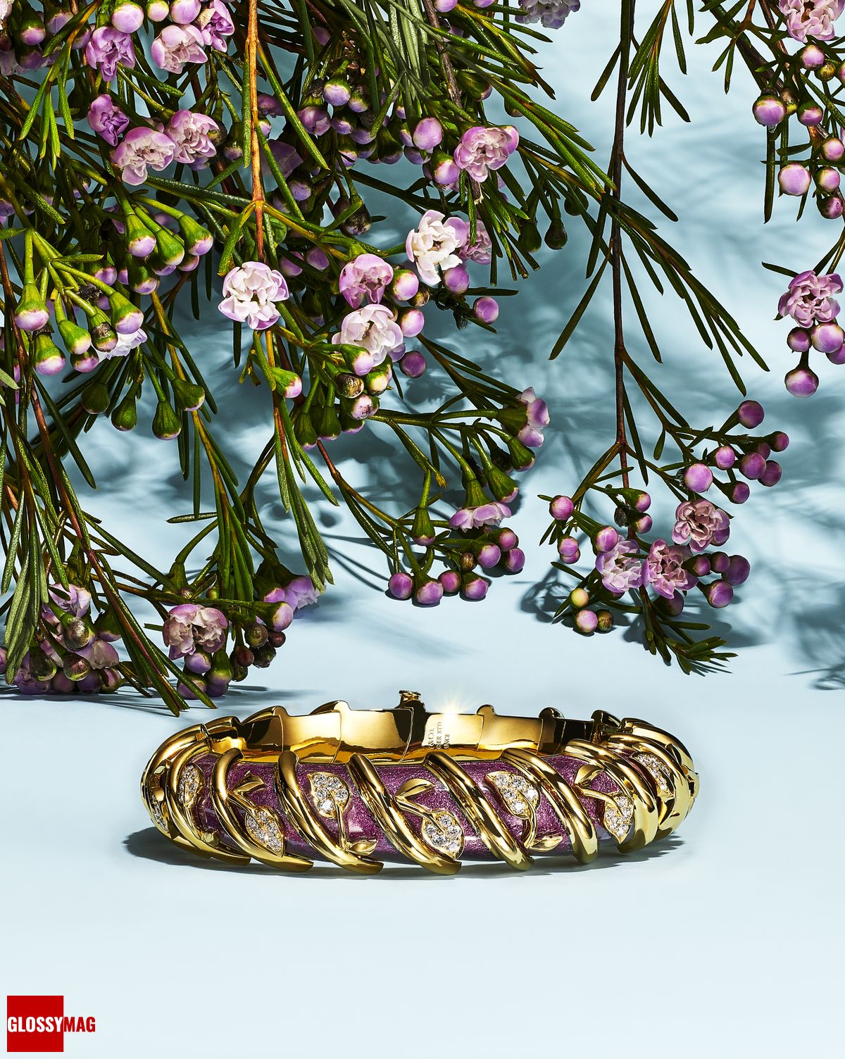 Фантастический мир Жана Шлюмберже в коллекции Tiffany & Co. Botanica: Blue Book 2022, фото 22