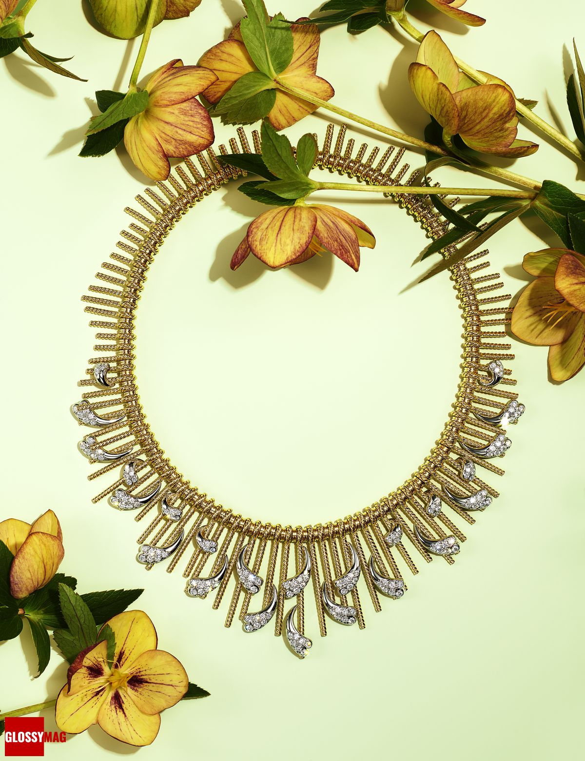 Фантастический мир Жана Шлюмберже в коллекции Tiffany & Co. Botanica: Blue Book 2022, фото 4