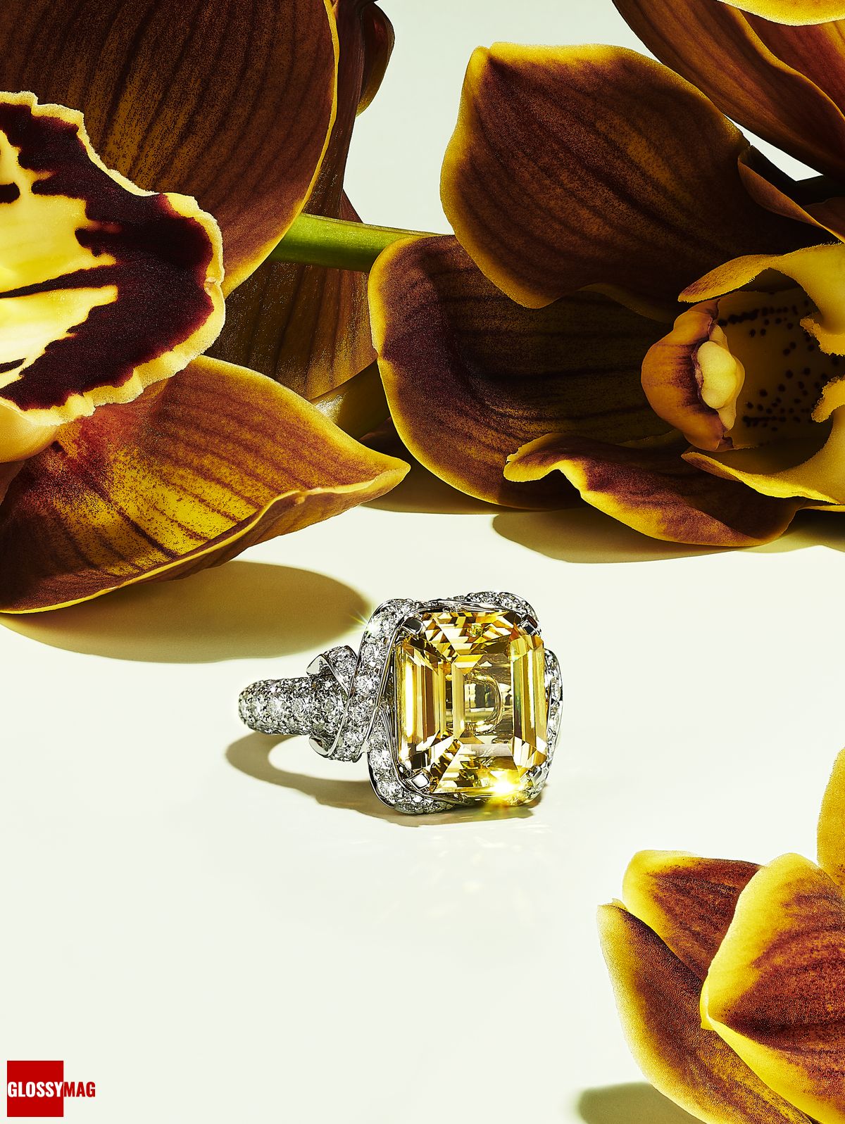 Фантастический мир Жана Шлюмберже в коллекции Tiffany & Co. Botanica: Blue Book 2022, фото 6