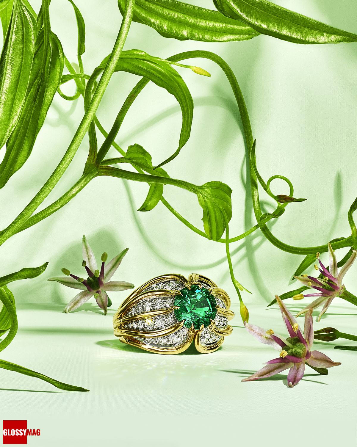 Фантастический мир Жана Шлюмберже в коллекции Tiffany & Co. Botanica: Blue Book 2022, фото 7