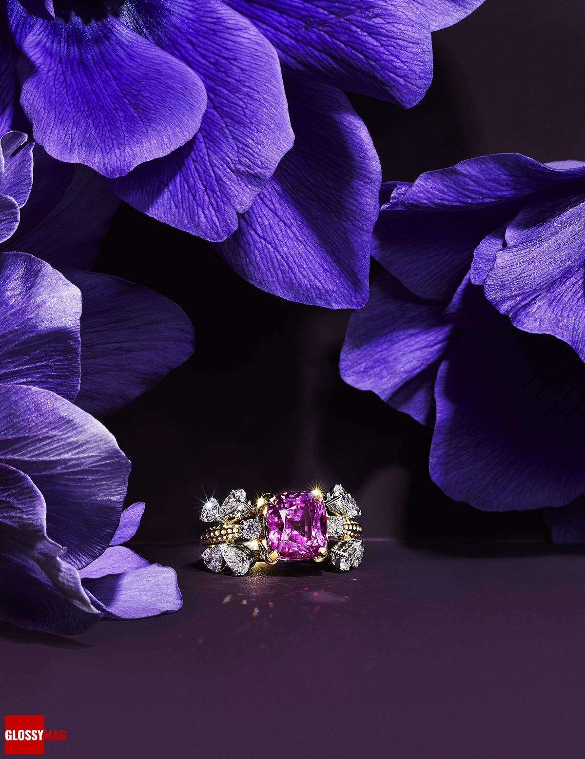Фантастический мир Жана Шлюмберже в коллекции Tiffany & Co. Botanica: Blue Book 2022, фото 8