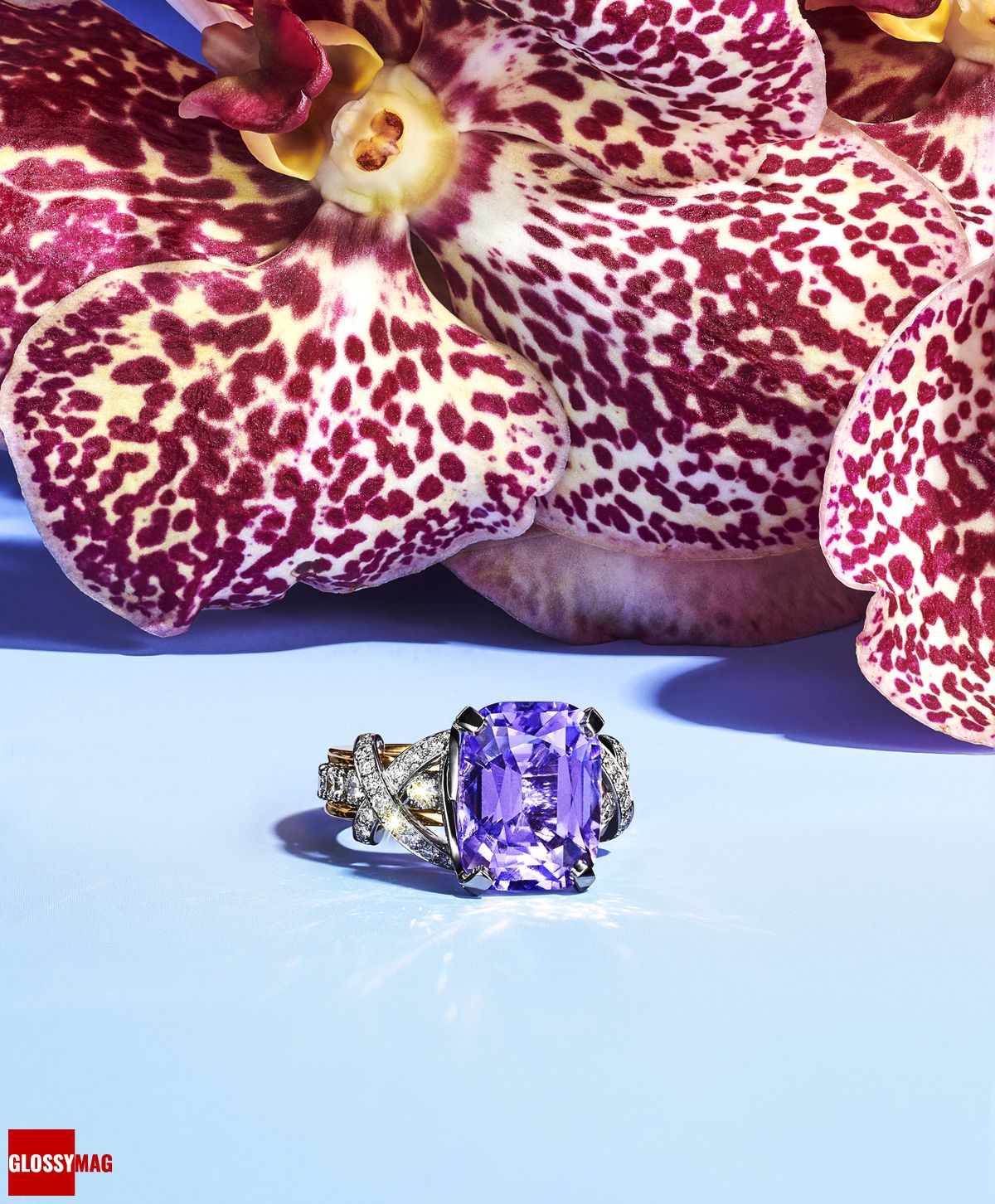Фантастический мир Жана Шлюмберже в коллекции Tiffany & Co. Botanica: Blue Book 2022, фото 9