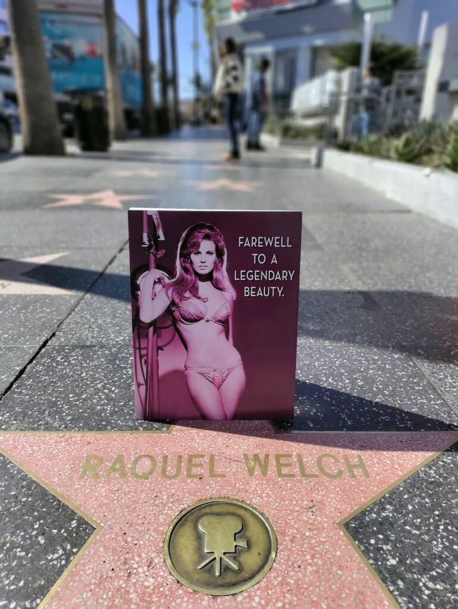 Звезда Рэкел Уэлч на аллее славы в Голливуде, 15 февраля 2023 г.