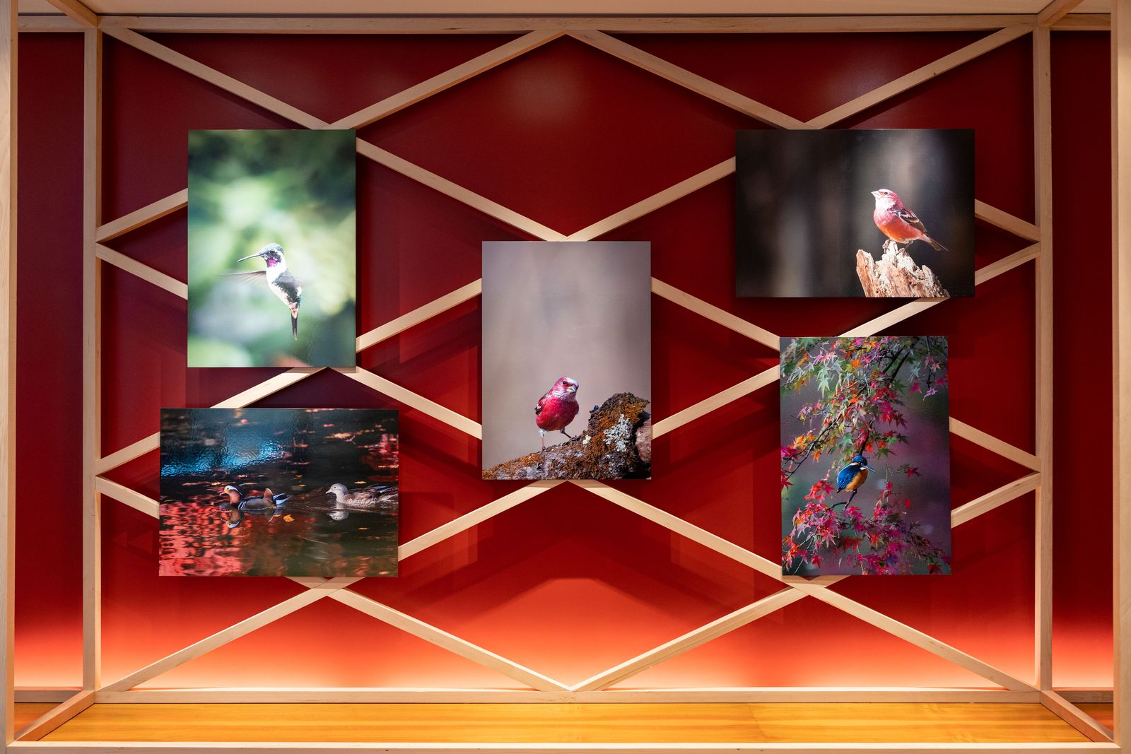 На циферблате часов Chopard L.U.C XP BirdLife поселилась Сибирская чечевица, фото 3