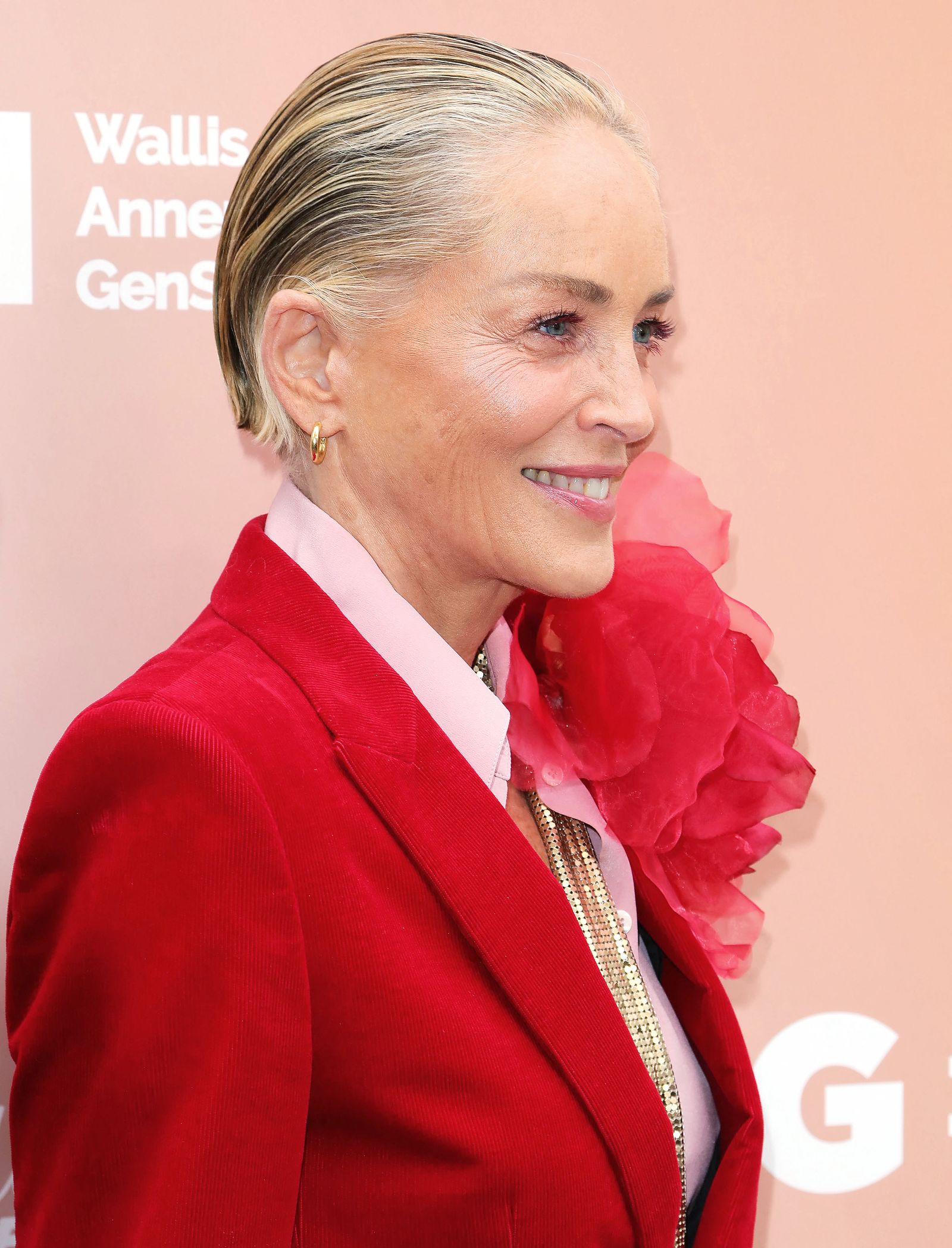 Шэрон Стоун на мероприятии «Raising Our Voices» издания The Hollywood Reporter, 31 мая 2023 г., фото 1