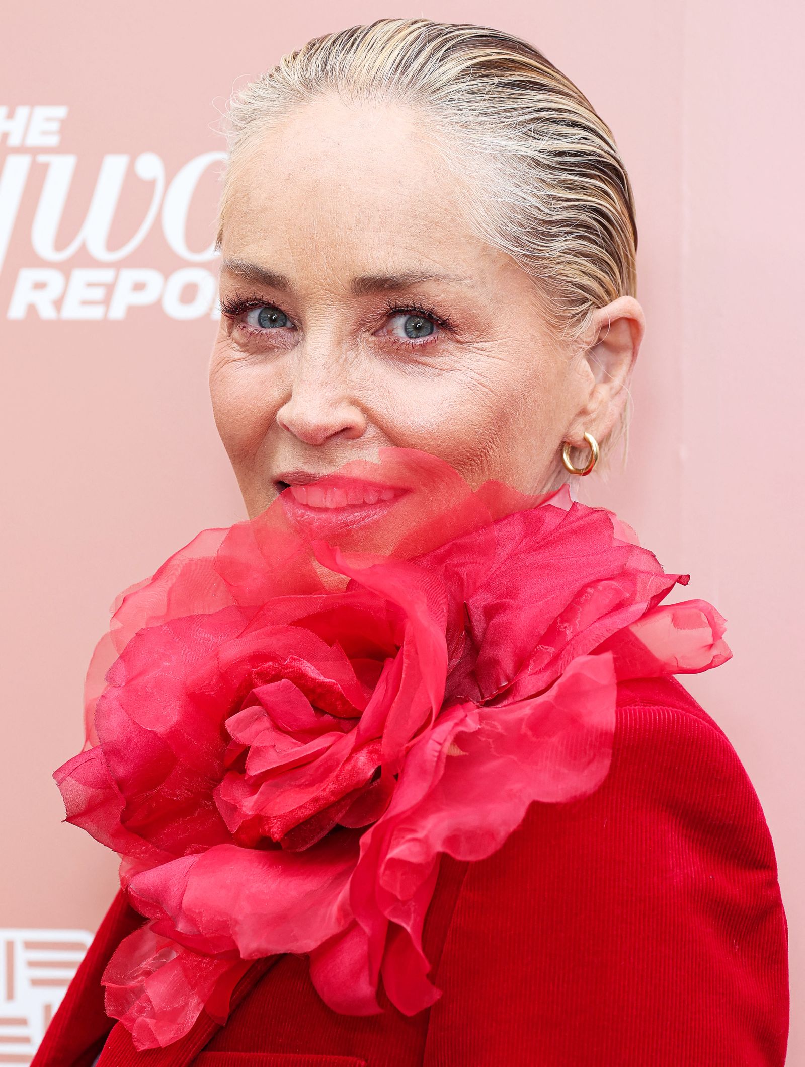 Шэрон Стоун на мероприятии «Raising Our Voices» издания The Hollywood Reporter, 31 мая 2023 г., фото 2