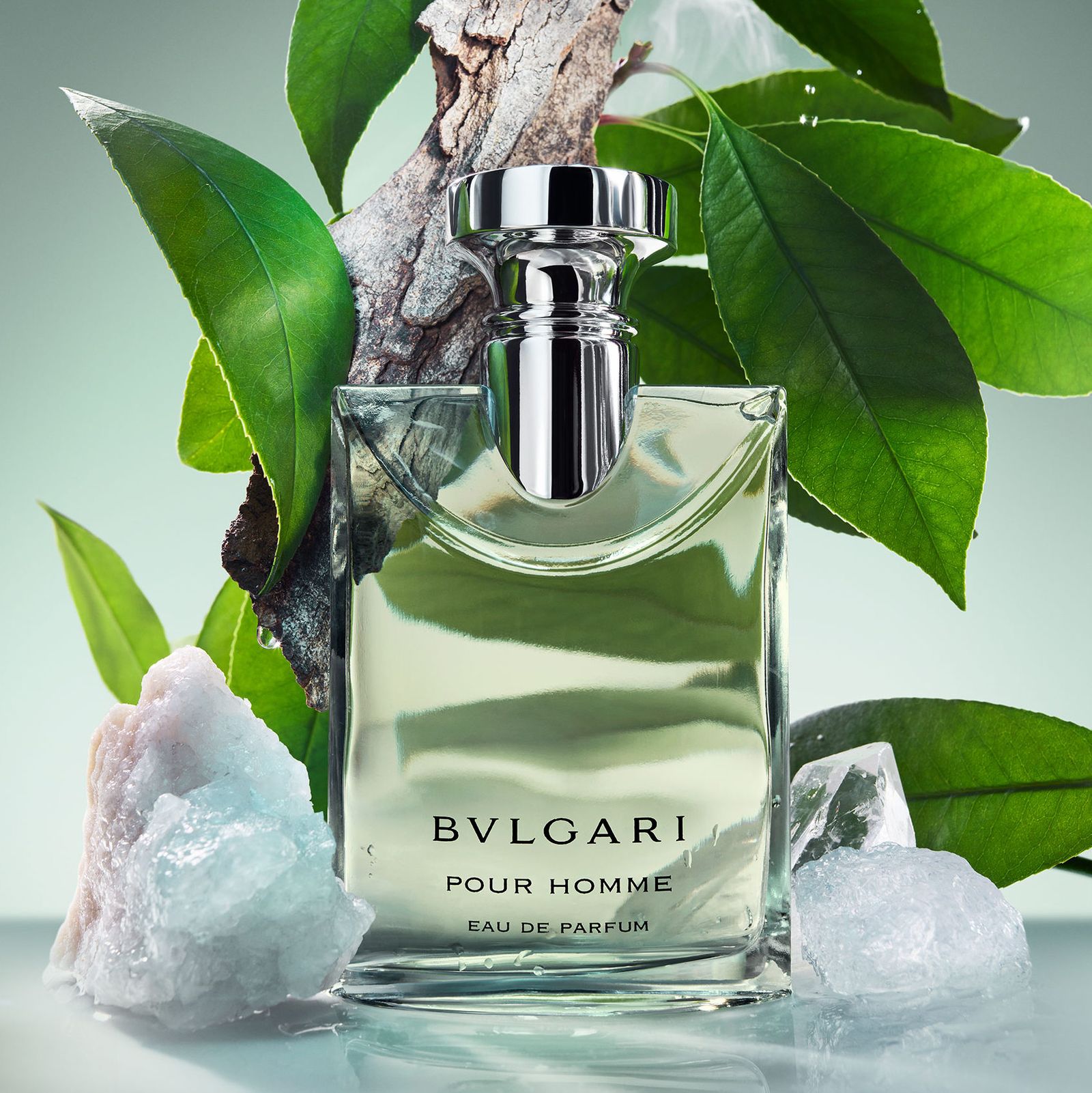 Новый Bvlgari Pour Homme 2024 Eau de Parfum