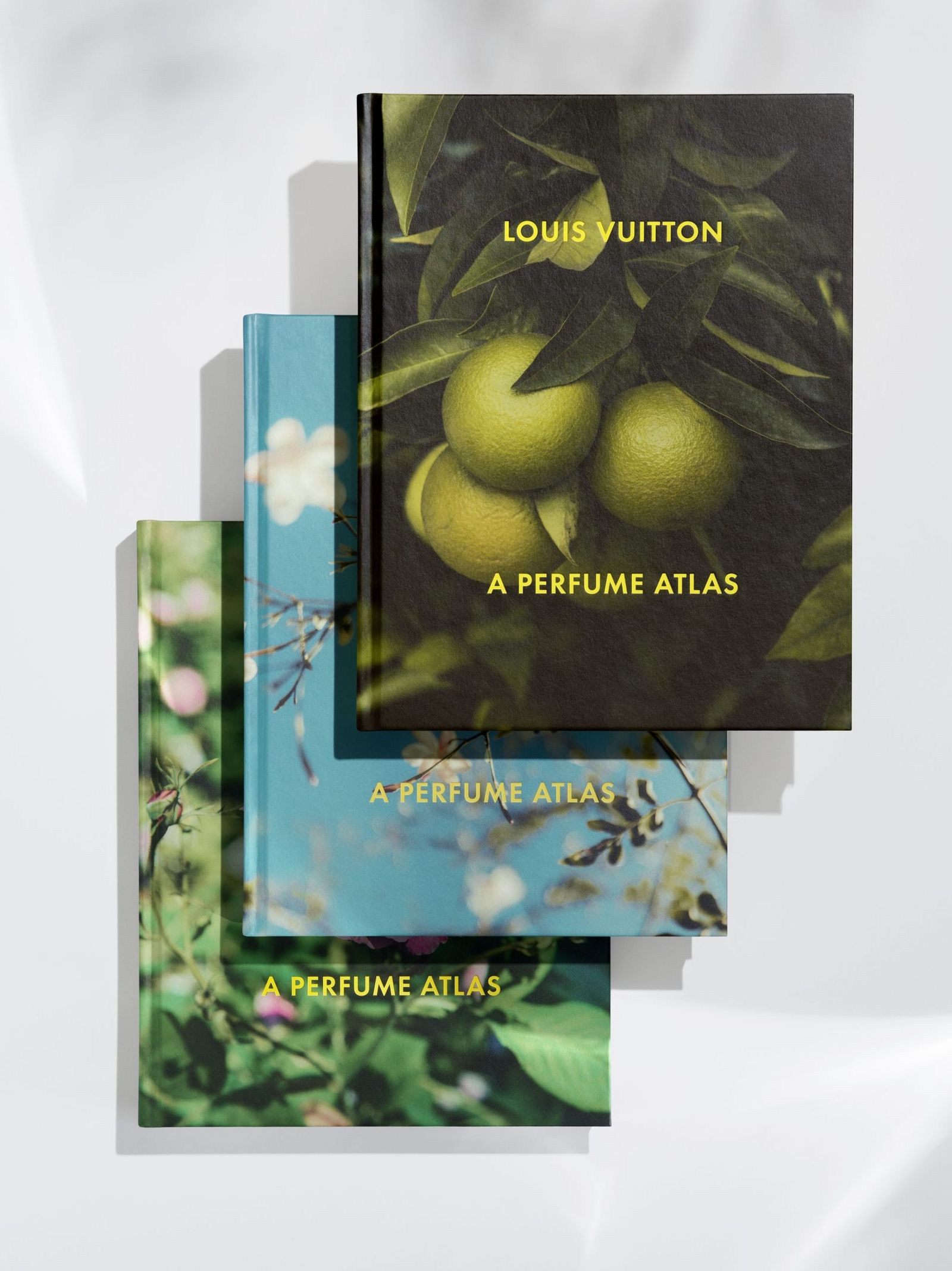 Книга Louis Vuitton «Парфюмерный атлас» «Парфюмерный атлас» Louis Vuitton